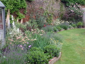 The Garden of William Morris at Kelmscott House