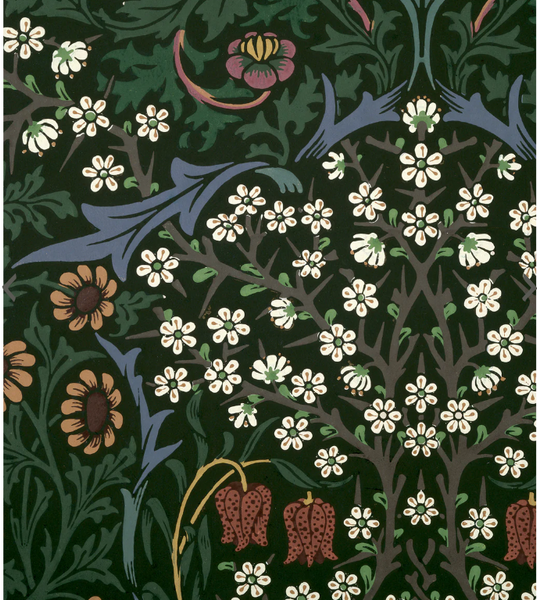 William Morris Keepsake Boxed Note Cards & Envelopes