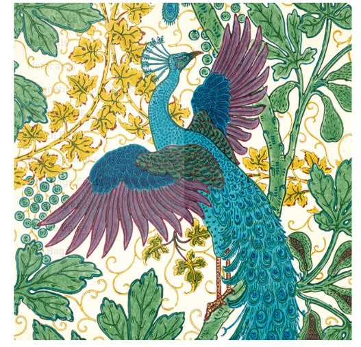 V & A Fig and Peacock Walter Crane Note Cards