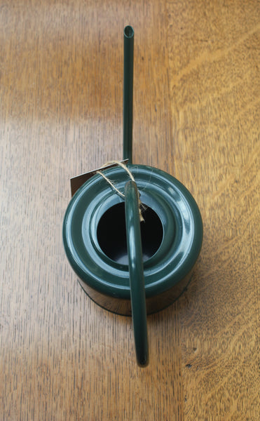 William Morris Blackthorn Watering Can