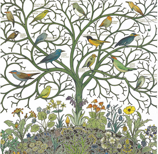 V & A Voysey Birds Note Cards